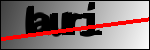 متن برای شناسایی